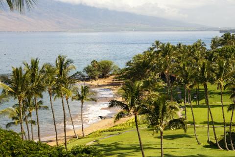 Maui Vacation Rentals