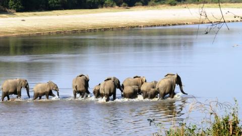 South Luangwa Vacation Rentals