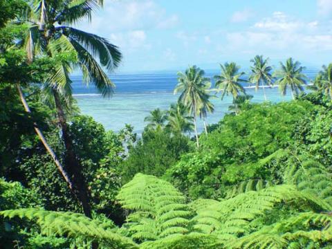 Vanua Levu Vacation Rentals