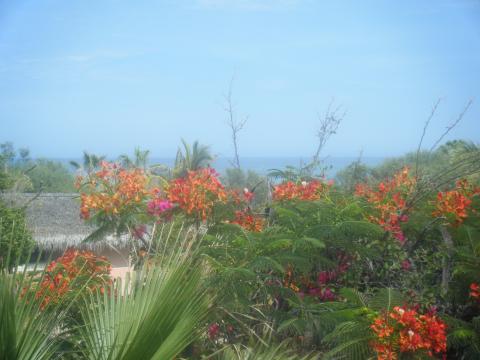 Baja California Sur Vacation Rentals